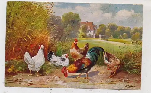 LANDWIRTSCHAFT - GEFLÜGEL / POULTRY, Hühner,, Künstler-Karte, Alfred Schönian