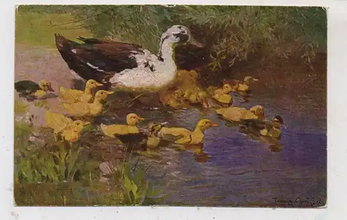 LANDWIRTSCHAFT - GEFLÜGEL / POULTRY, Enten / Ducks, Künstler-Karte Franz Gräßel