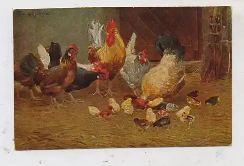 LANDWIRTSCHAFT - GEFLÜGEL / POULTRY, Hühner, Künstler-Karte Franz Gräßel