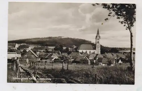 8678 SCHWARZENBACH am Wald, Ortsansicht 1933