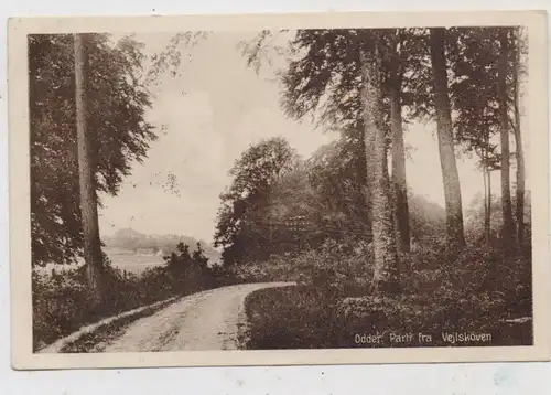 DK 8300 ODDER, Partifra Vejlskoven, 1928