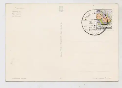 LIBANON - The Cedars