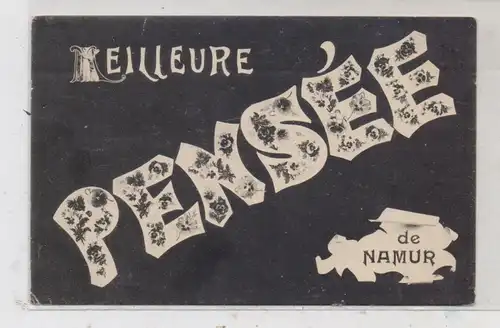 B 5000 NAMUR, "Meilleure PENSEE", 1908