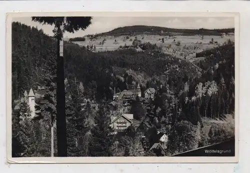 NIEDER - SCHLESIEN - WÖLFELSGRUND / MIEDZYGORZE (Glatz), Dorfansicht, 1936