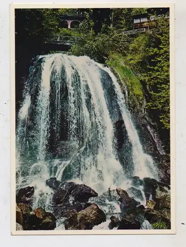 CH 3803 BEATENBERG BE, St. Beatushöhlen, Wasserfall mit Kreuzgang