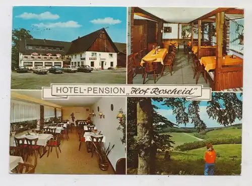 5952 ATTENDORN - ROSCHEID, Hotel - Pension Hof Roscheid