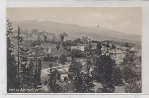 NIEDER - SCHLESIEN - OBER-GIERSDORF - HAIN / PODGORZYN, Gesamtansicht 1908, Trenkler