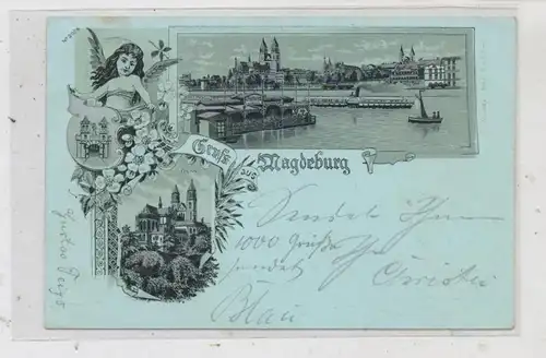0-3000 MAGDEBURG, Lithographie 1899, Dom, Panoramaansicht mit Strom-Badeanstalt, Elbdampfer, Silberdruck