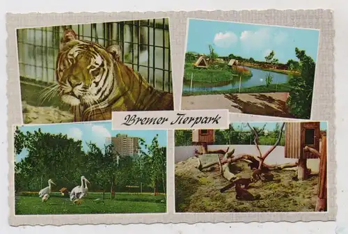 2800 BREMEN, Tierpark / Zoo, 1968