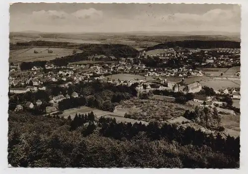 3490 BAD DRIBURG, Blick vom Iberg, 1963