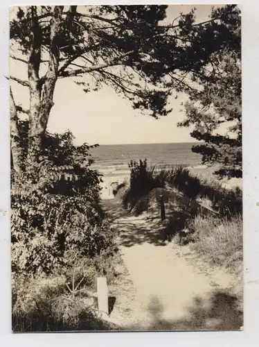 0-2255 HERINGSDORF - BANSIN, Blick auf den Strand, 1965