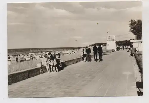 0-2565 KÜHLUNGSBORN, Strandpromenade, 1967