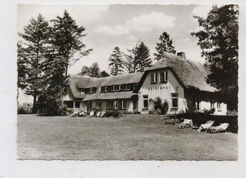 2420 EUTIN, Wiesenhof am Kellersee, 1963