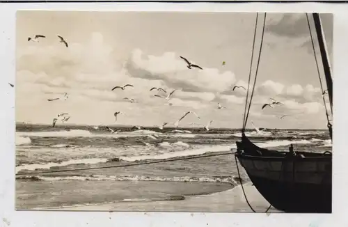 0-2255 HERINGSDORF - BANSIN, Möwen in der Brandung, Fischerboot,  1962