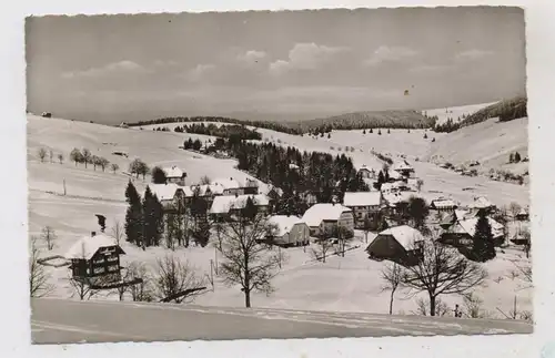 7868 TODTNAU - TODTNAUBERG, Dorfansicht 1959