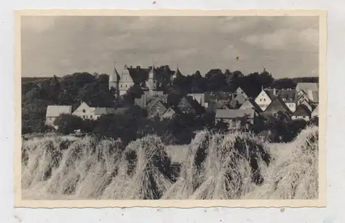 4924 BARNTRUP, Ortsansicht mit Schloß im Herbst, Photo-AK, Photograph H. Richter