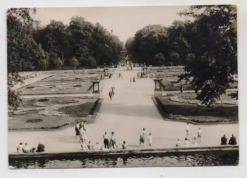 1000 BERLIN - FRIEDRICHSFELD, Tierpark Berlin (Zoo),, Südpaterre, 1963