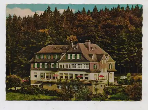5948 SCHMALLENBERG - RIMBERG, Hotel Pension Knoche, 1966