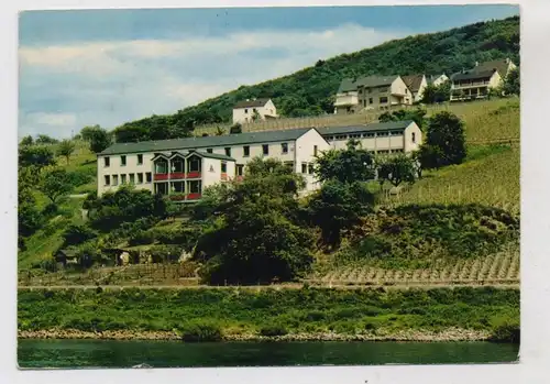 5590 COCHEM,  Jugendherberge