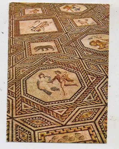 5000 KÖLN, Römisch - Germanisches Museum, Dionysos - Mosaik