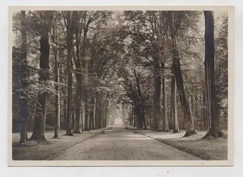 5040 BRÜHL, Schloßpark, Hauptallee, DKV - Deutscher Kunst Verlag, Aufnahme Wildemann - Bonn