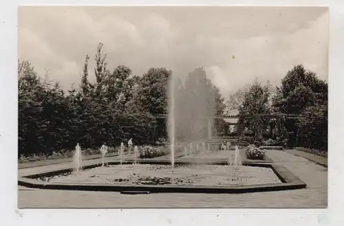 0-7570 FORST / Lausitz, Rosengarten, Springbrunnen, 1959