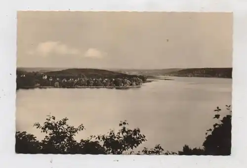 0-1276 BUCKOW, Blick über den Schermützelsee, 1962