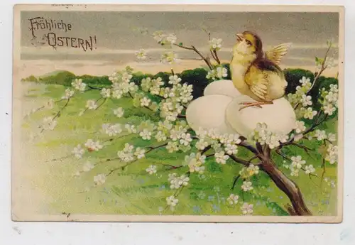 OSTERN - Küken sitzt auf Eiern, Präge-Karte / embossed / relief, 1909