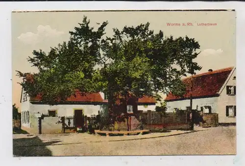 FLORA - Lutherbaum in Worms