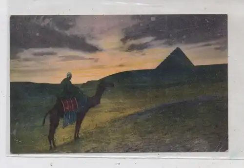 EGYPT - Sunset on the dessert, Camel