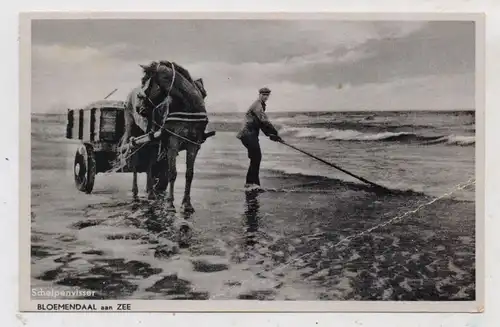 NOORD-HOLLAND - BLOEMENDAAL, Schelpenvisser, 195...