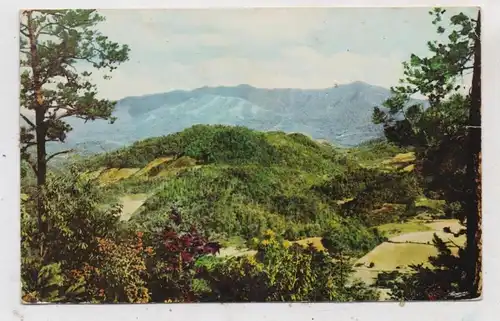 USA - TENNESSEE - SMOKY MOUNTAINS, Mount Le Conte, 1954