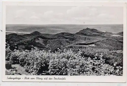 5330 KÖNIGSWINTER - ITTENBACH, Blick vom Ölberg auf den Drachenfels, 1950