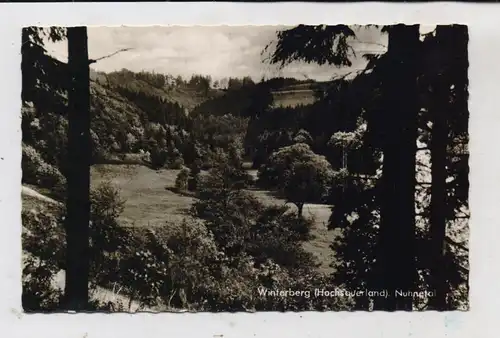 5788 WINTERBERG, Nuhnetal