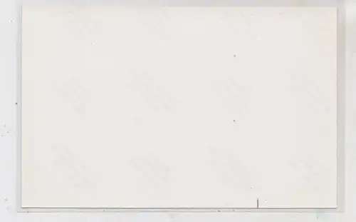 SPORT - RUDERN / Rowing, Ruder - Verein Nautilus - Elbing, Photo