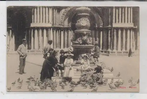 I 30100  VENEZIA / VENEDIG, Piccioni, Tauben füttern, ca. 1905