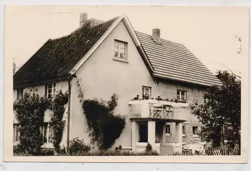 5276 WIEHL - MORKEPÜTZ, Pension Sonnenschein, Photo-AK, 1957