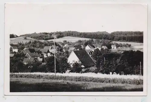 5276 WIEHL - MORKEPÜTZ, Dorfansicht, Photo-AK, 1957