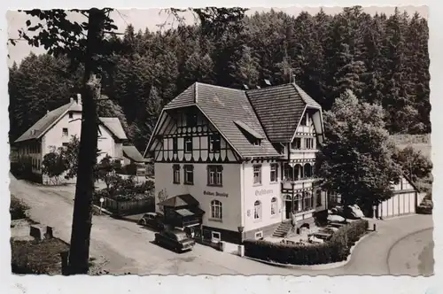 7823 BONNDORF, Gasthaus Steinasäge, 1957, Oldtimer