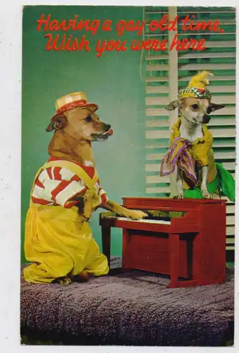 TIERE - HUNDE - Vermenschlichte Musiker, 1959