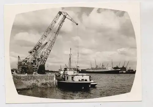 ZUID-HOLLAND - ROTTERDAM, Wereldhaven, MS "NIEUW AMSTERDAM", Binnenfrachtschiff