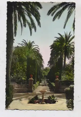 E 41000 SEVILLA, Jardines del Alcazar, 1954