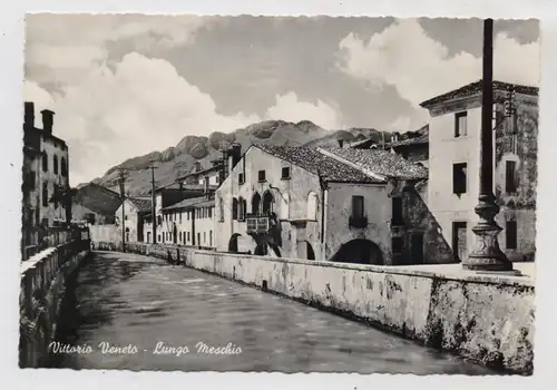 I 31029 VITTORIO VENETO, Lungo Meschio