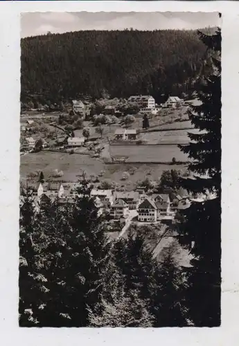 7292 BAIERSBRONN, Blick auf den Ort, 1966