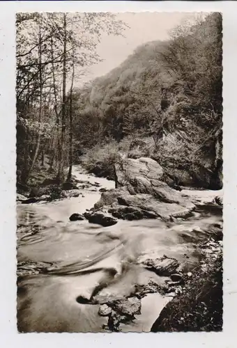 5401 BRODENBACH, Ehrbachklamm, 1965