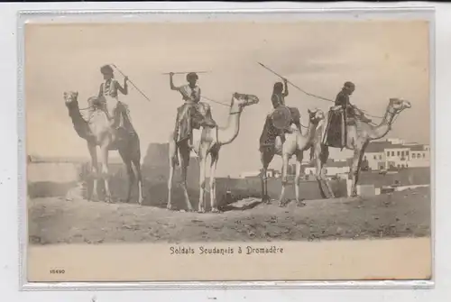 SUDAN - Sudan Soldiers & Dromedaries, ca. 1900