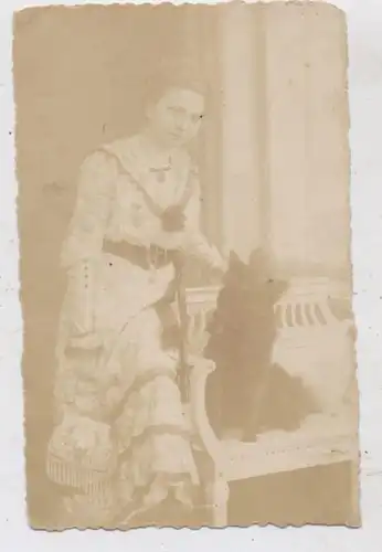 HUNDE - SPITZ / Spitz Dog / Chien Loulou, Photo - AK, Atelier May - Waldenburg / Schlesien