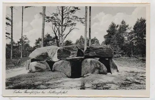 HÜNENGRAB / DOLMEN / MENHIR, Sieben Steinhäuser bei Fallingbostel