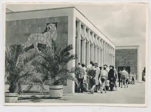 1000 BERLIN - FRIEDRICHSFELD, Tierpark Berlin (Zoo), Alfred - Brehm Haus, 1968