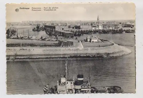 B 8380 ZEEBRUGGE, Vissershaven, Schlepper "Rolf Gerling"